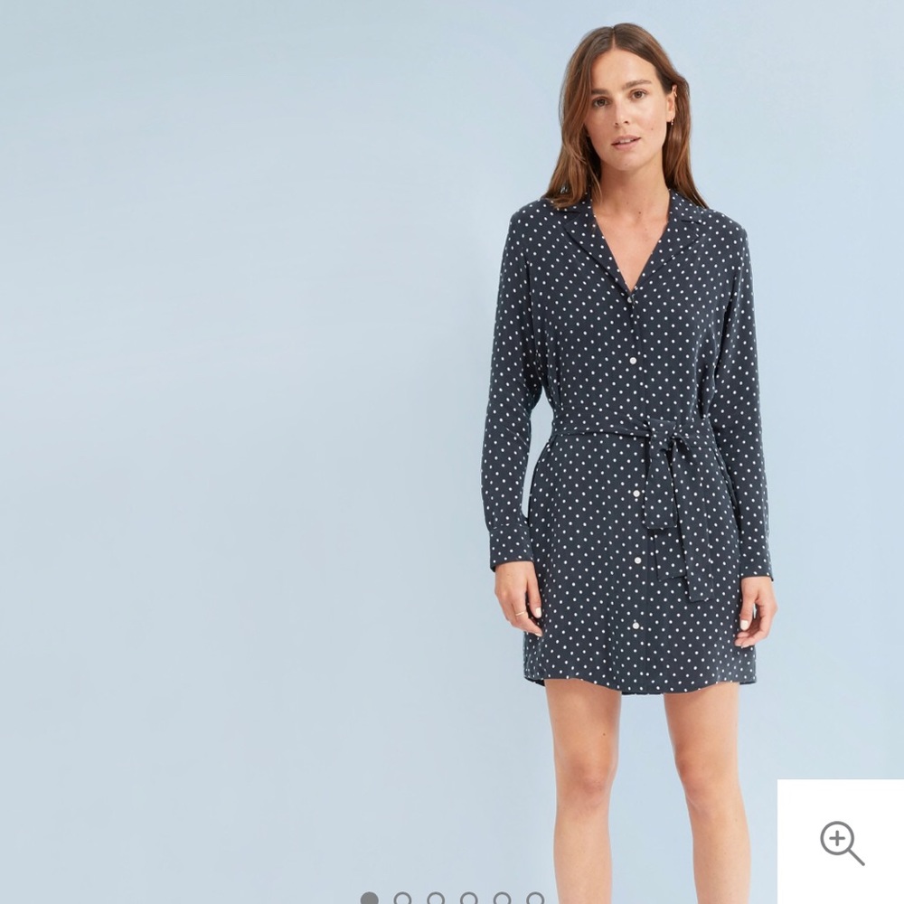 Everlane Navy Polka Dot Shirt Dress